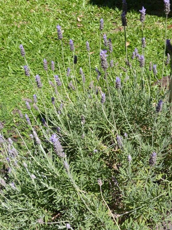 Parque de La Posada de Colón